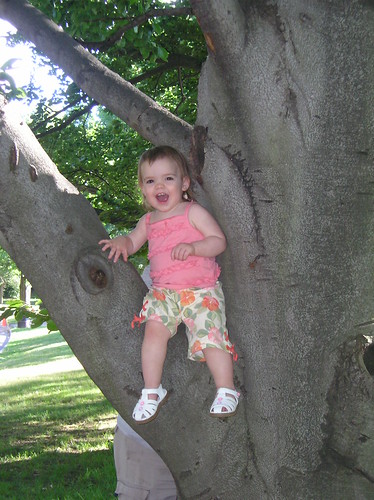 Princess in a tree I