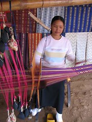 15weaving silk in the chicken village