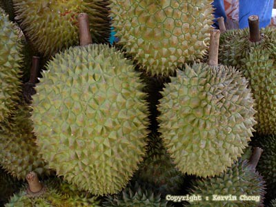 Durian01